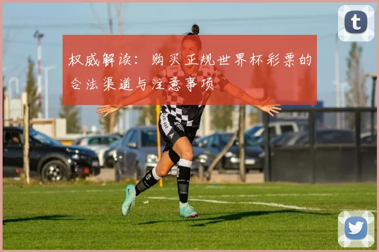 权威解读:购买正规世界杯彩票的合法渠道与注意事项
