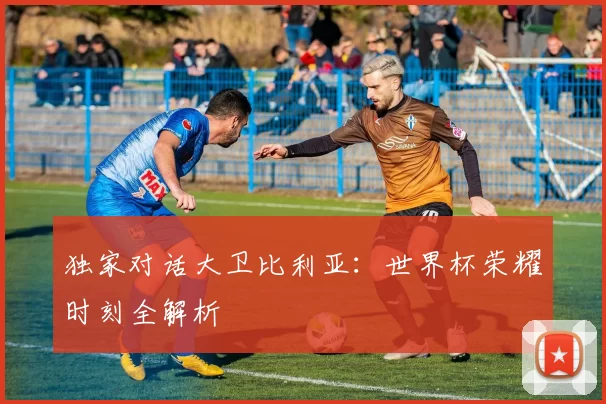 独家对话大卫比利亚：世界杯荣耀时刻全解析