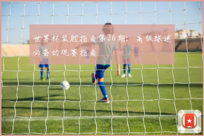 世界杯装腔指南第26期:高级球迷必备的观赛指南
