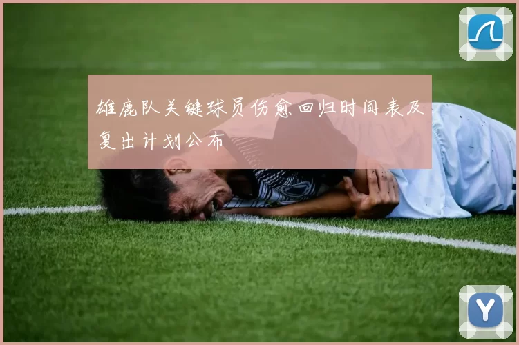 雄鹿队关键球员伤愈回归时间表及复出计划公布