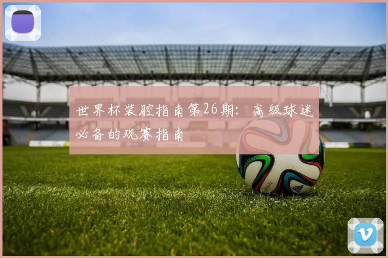 世界杯装腔指南第26期:高级球迷必备的观赛指南