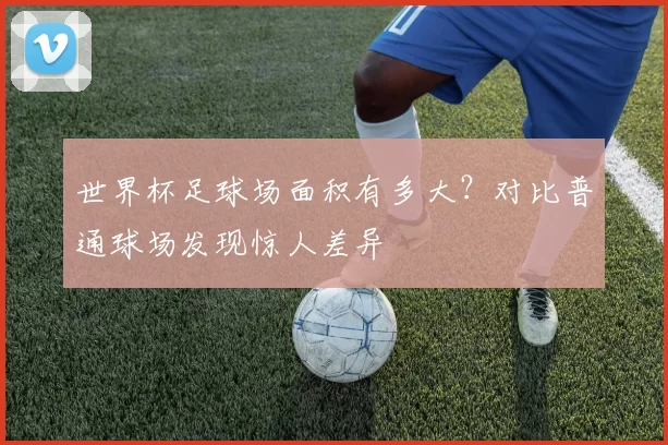 世界杯足球场面积有多大？对比普通球场发现惊人差异