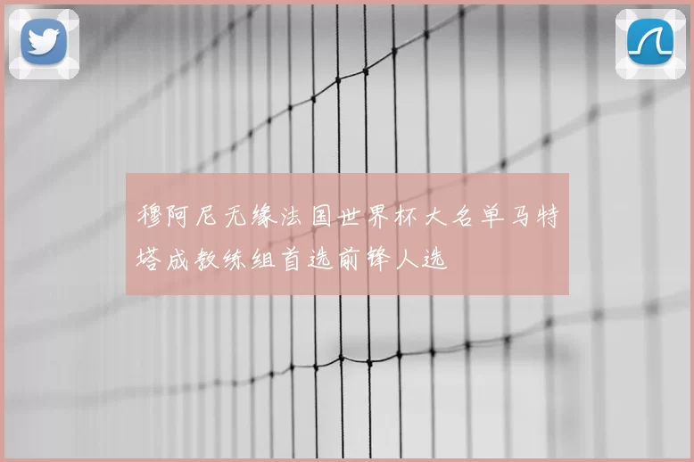 穆阿尼无缘法国世界杯大名单马特塔成教练组首选前锋人选