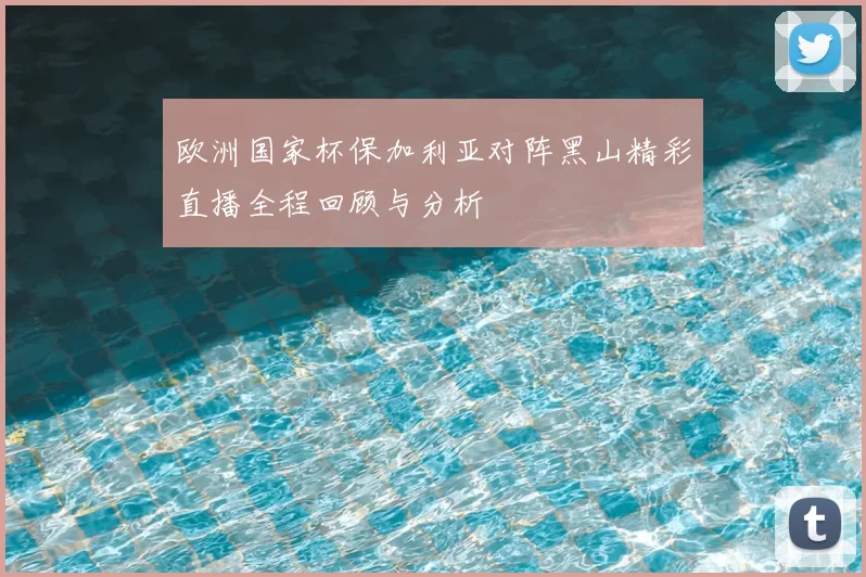欧洲国家杯保加利亚对阵黑山精彩直播全程回顾与分析
