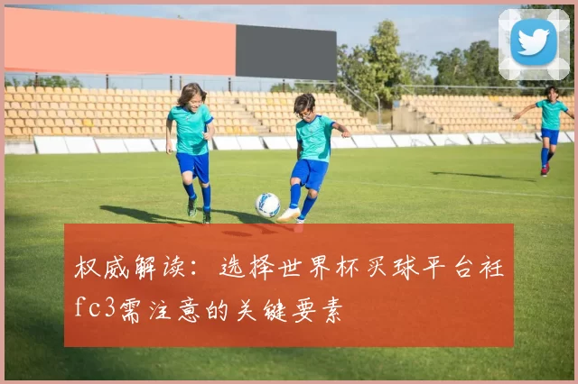 权威解读:选择世界杯买球平台衽fc3需注意的关键要素