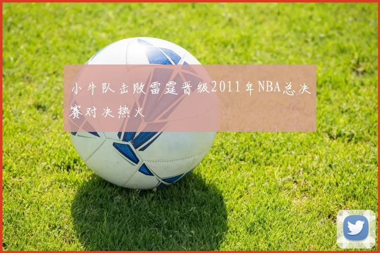 小牛队击败雷霆晋级2011年NBA总决赛对决热火