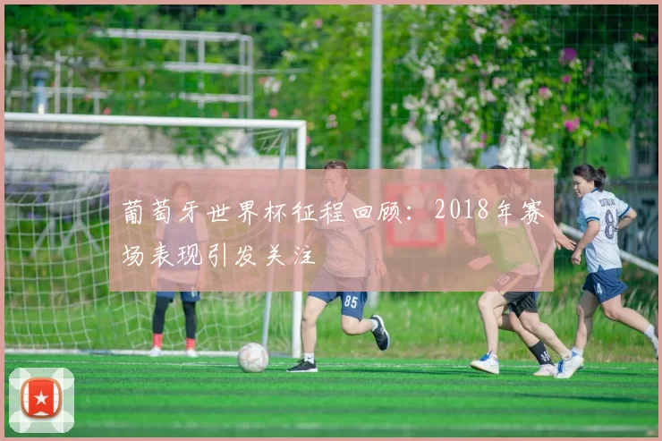 葡萄牙世界杯征程回顾:2018年赛场表现引发关注