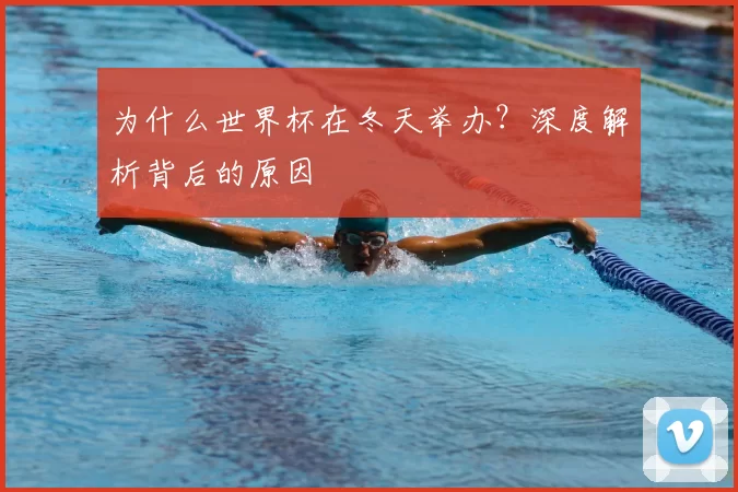 为什么世界杯在冬天举办？深度解析背后的原因