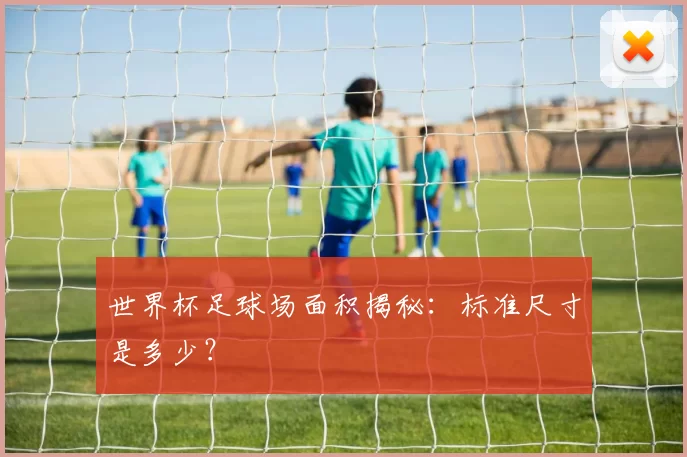 世界杯足球场面积揭秘:标准尺寸是多少?