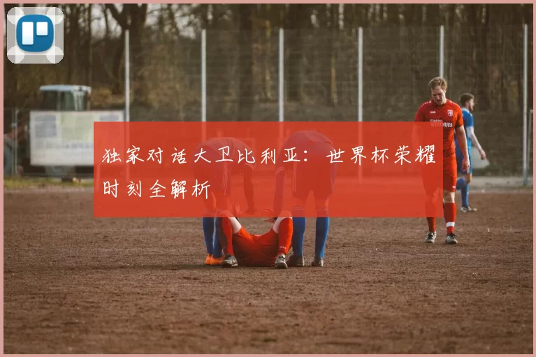 独家对话大卫比利亚:世界杯荣耀时刻全解析
