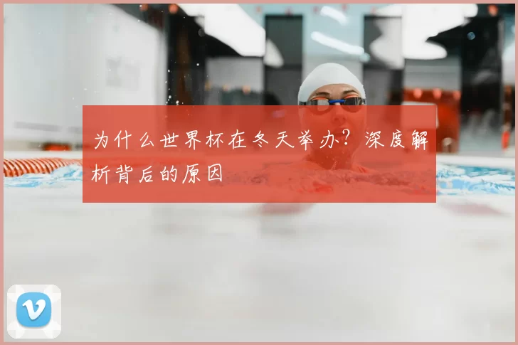 为什么世界杯在冬天举办?深度解析背后的原因